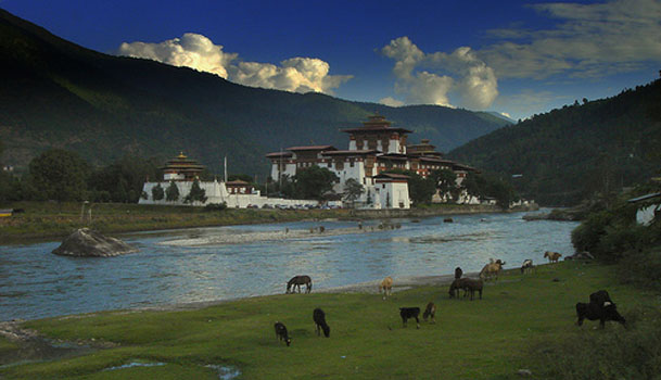 Treking in nepal