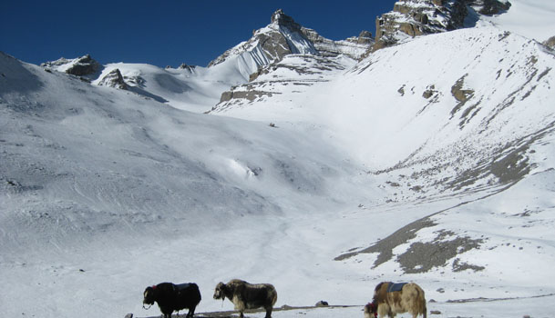 Treking in nepal