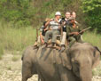 Kathmandu Chitwan And Pokhara Tours