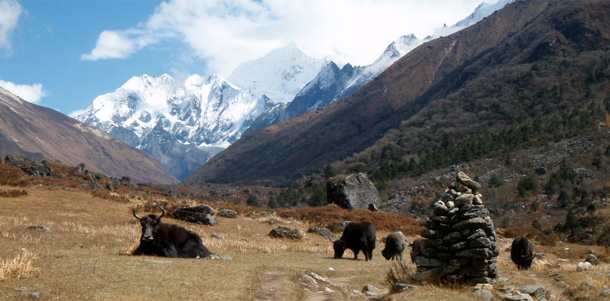 Tamang Heritage & Langtang Valley Trek 